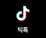 차플렉스 틱톡
