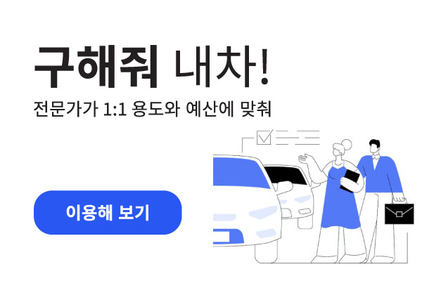 구해줘 내차! 전문가가 1:1 용도와 예산에 맞춰 - 이용해보기